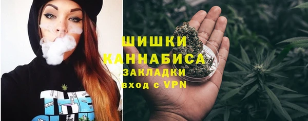 мяу мяу мука Гусь-Хрустальный