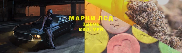 мяу мяу мука Гусь-Хрустальный