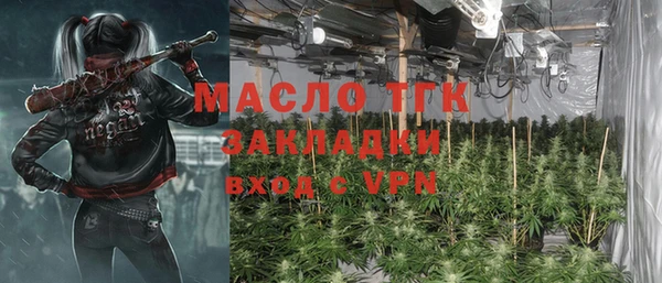 стаф Гусев