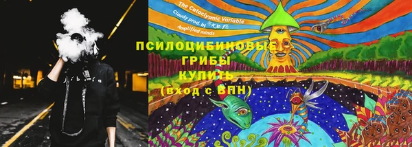 стаф Гусев