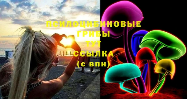 мяу мяу мука Гусь-Хрустальный