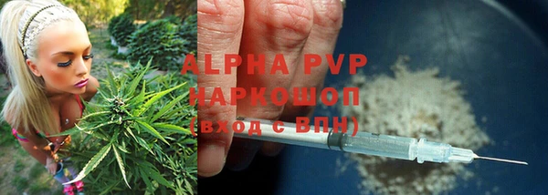 мяу мяу мука Гусь-Хрустальный