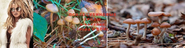 мефедрон мука Горнозаводск