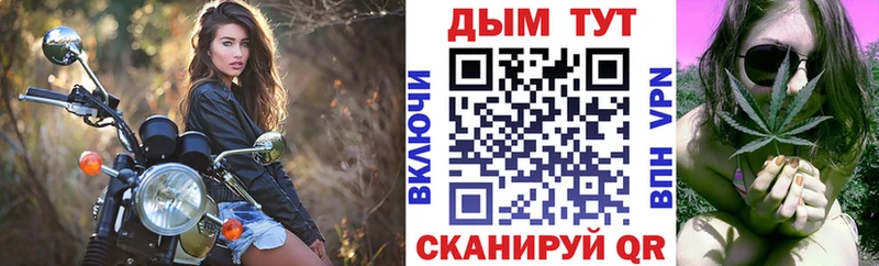MEGA маркетплейс  Меленки  Канабис семена  купить  цена 
